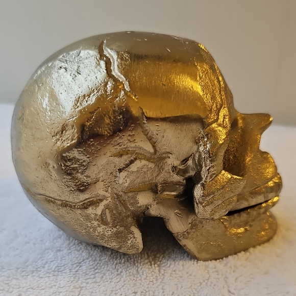 New Shiny Gold Skull with Hallowed Out Center Halloween Decor 3"x3" - Picture 12 of 12